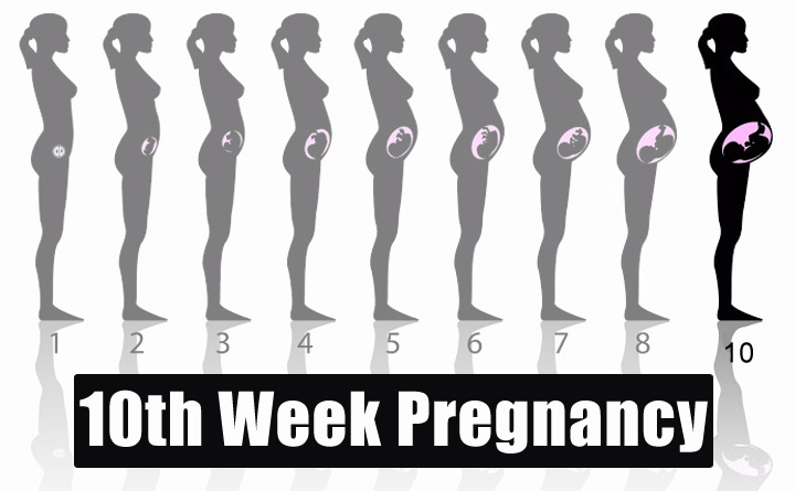 Baby Growth During Pregnancy