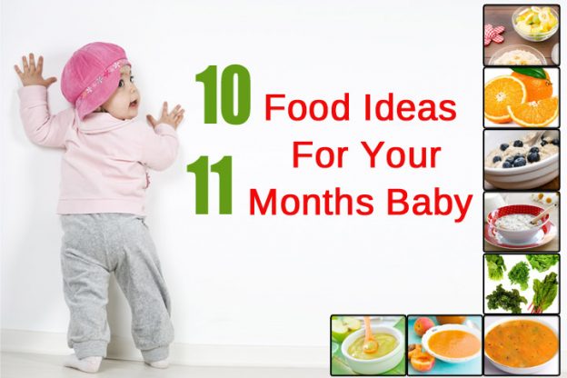11 Month Old Diets