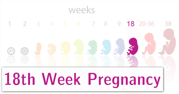 20 Weeks Completed Pregnancy Diet