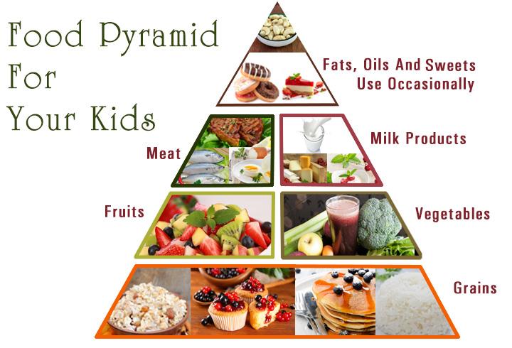 food pyramid guide wheat