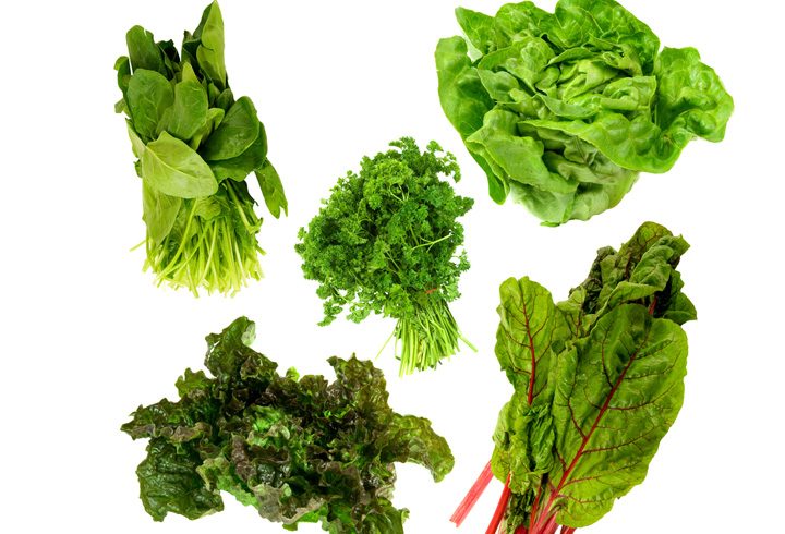 leafy vegetables clipart - photo #35
