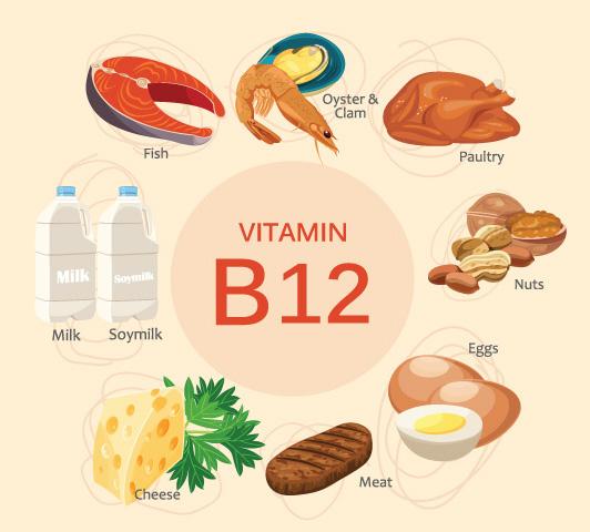 What foods are high in vitamin B12?