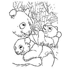 panda mother baby coloring pages - photo #25