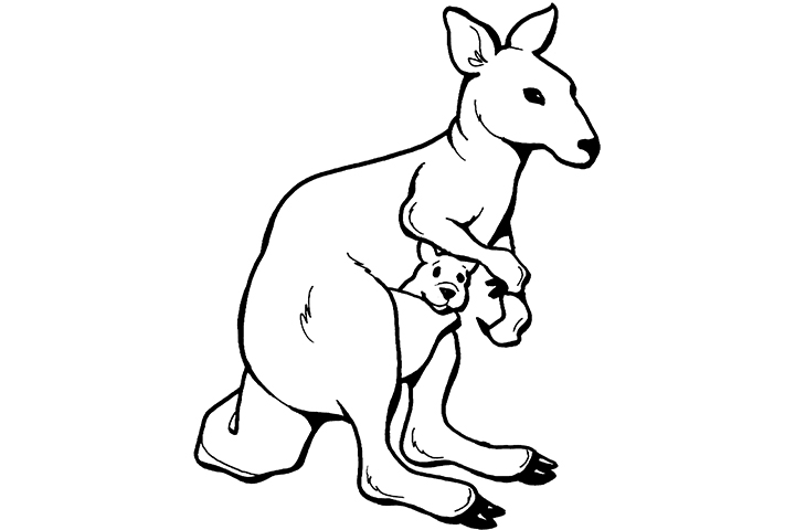 wallaby coloring pages - photo #4