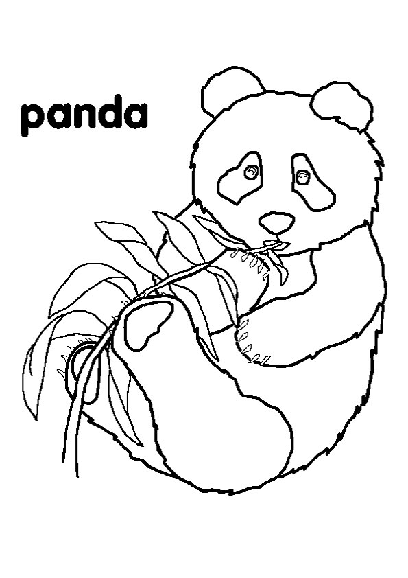 panda bear heart coloring pages - photo #21