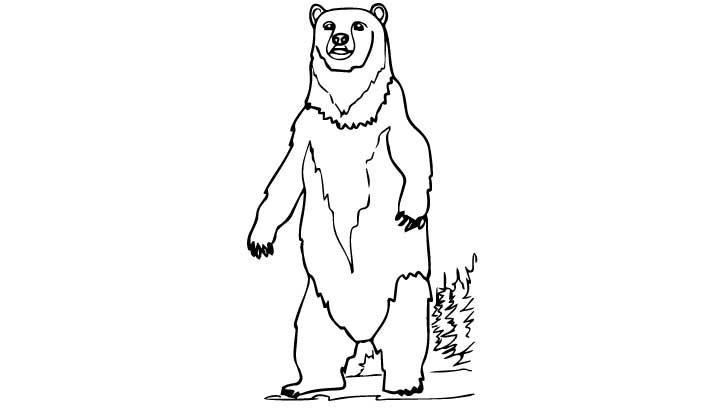 Cartoon standing bear coloring pages