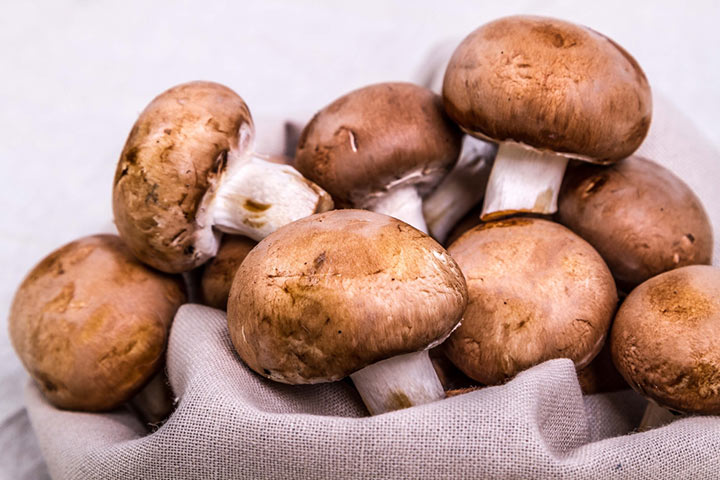 Chestnut mushrooms (Agaricus bisporus)