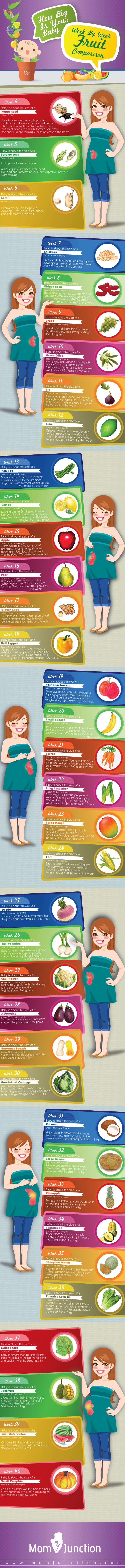 How Big Is Your Baby - Week By Week Fruit Comparison