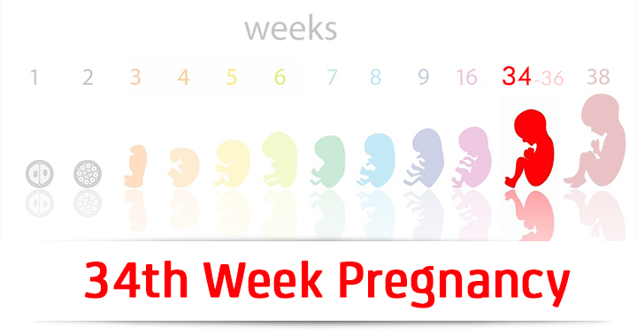 Image result for 34 weeks pregnant