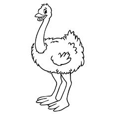 ᗑ 10 Funny Ostrich Coloring ᗐ Pages Your Toddler Will Ostrich Coloring Pages Olive The