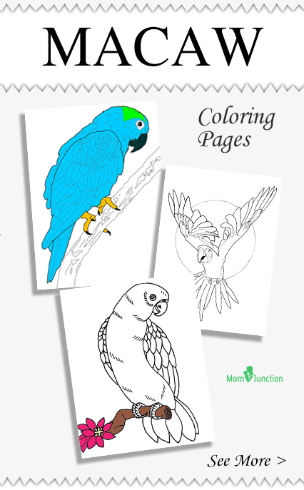 macaw coloring pages super coloring page - photo #30