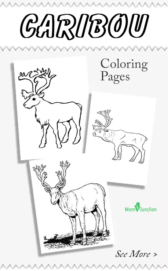 caribou tundra coloring pages - photo #34