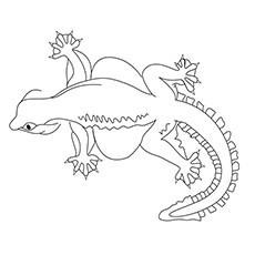 10 Gecko Coloring Pages Toddlers Flying Cute