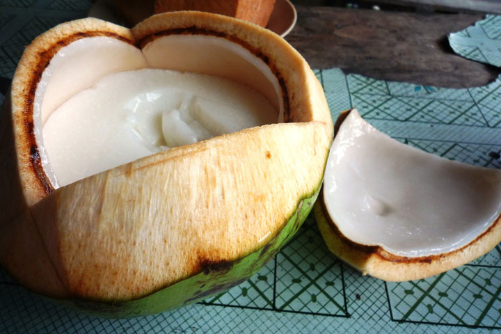 Is Young Coconut Meat Healthy Diet