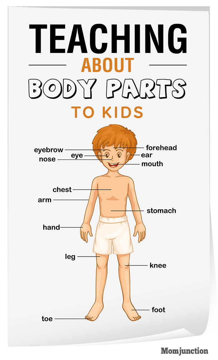 teaching-body-parts-to-children