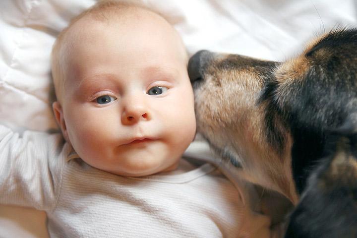 Why Dogs and Cats Make Babies Healthier Why Dogs and Cats Make Babies Healthier