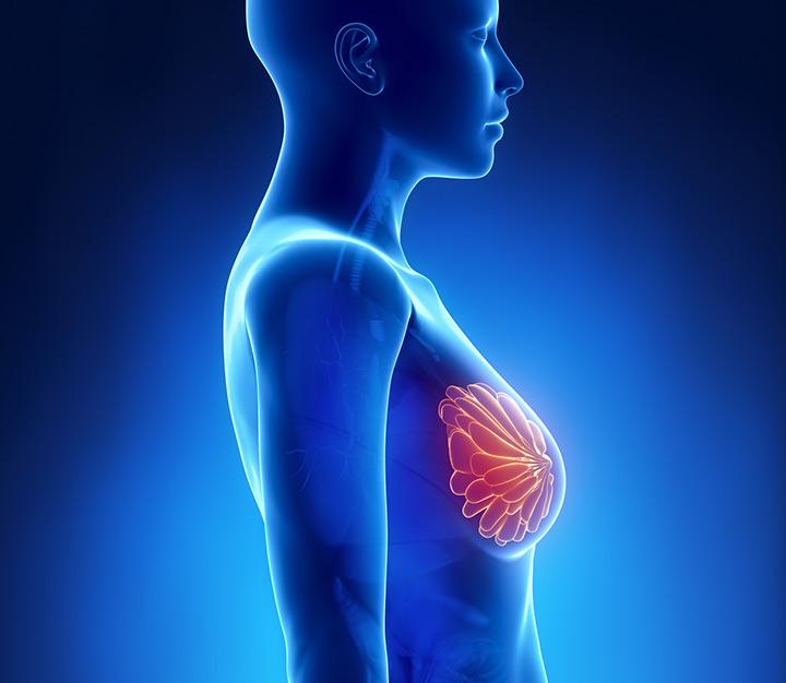What Actually Happens To Your Breasts After You Stop Breastfeeding What Actually Happens To Your Breasts After You Stop Breastfeeding