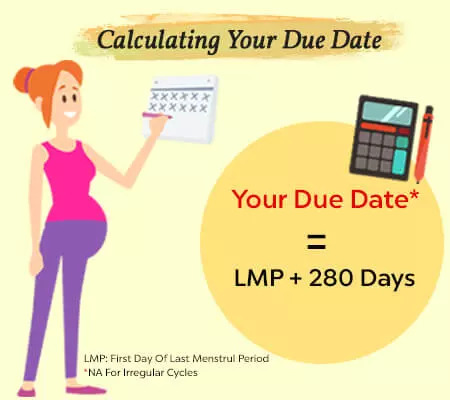 calculate due date elite singel calculate due date elite singel