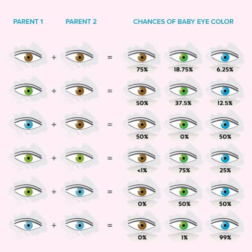 color of eyes percentage