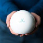 Never Lose Another Photo Again With Capsule - The Smart Photo Assistant!