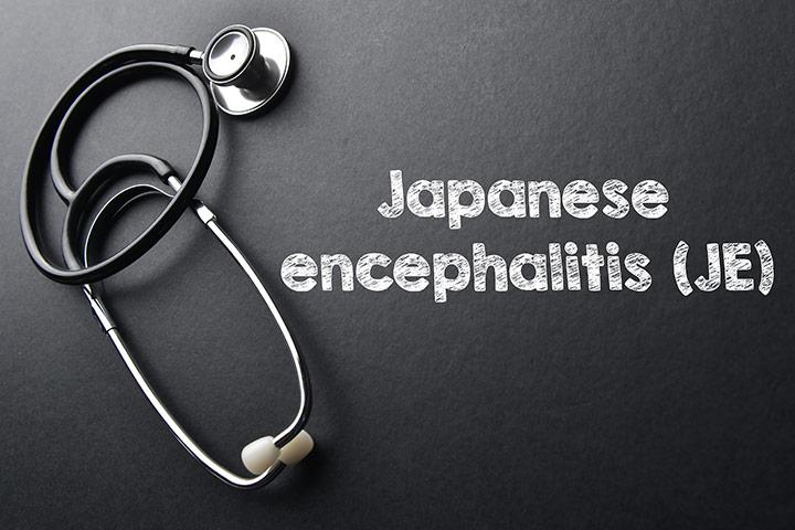 How Does Japanese Encephalitis Virus Spread & Ways To Prevent It How Does Japanese Encephalitis Virus Spread & Ways To Prevent It