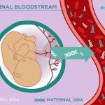 NIPT When Is The Test Done And What Are Its Benefits