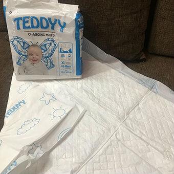 teddy