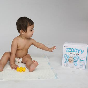 teddy