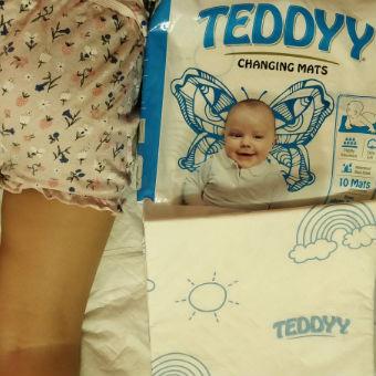 teddy