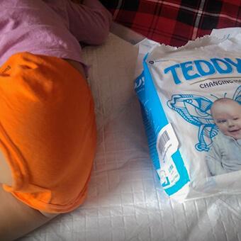 teddy