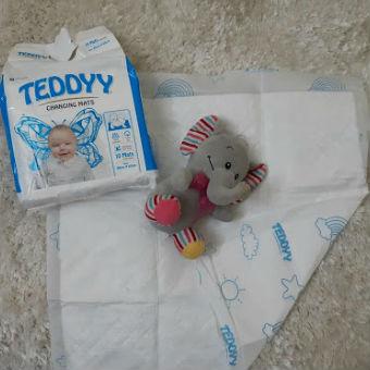 teddy