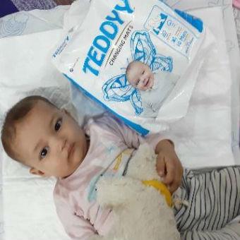 teddy