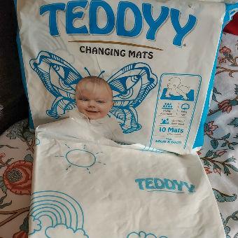 teddy