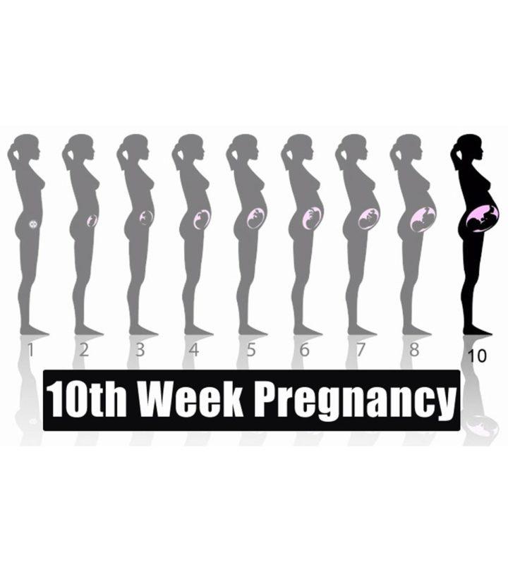 10 week pregnancy visit