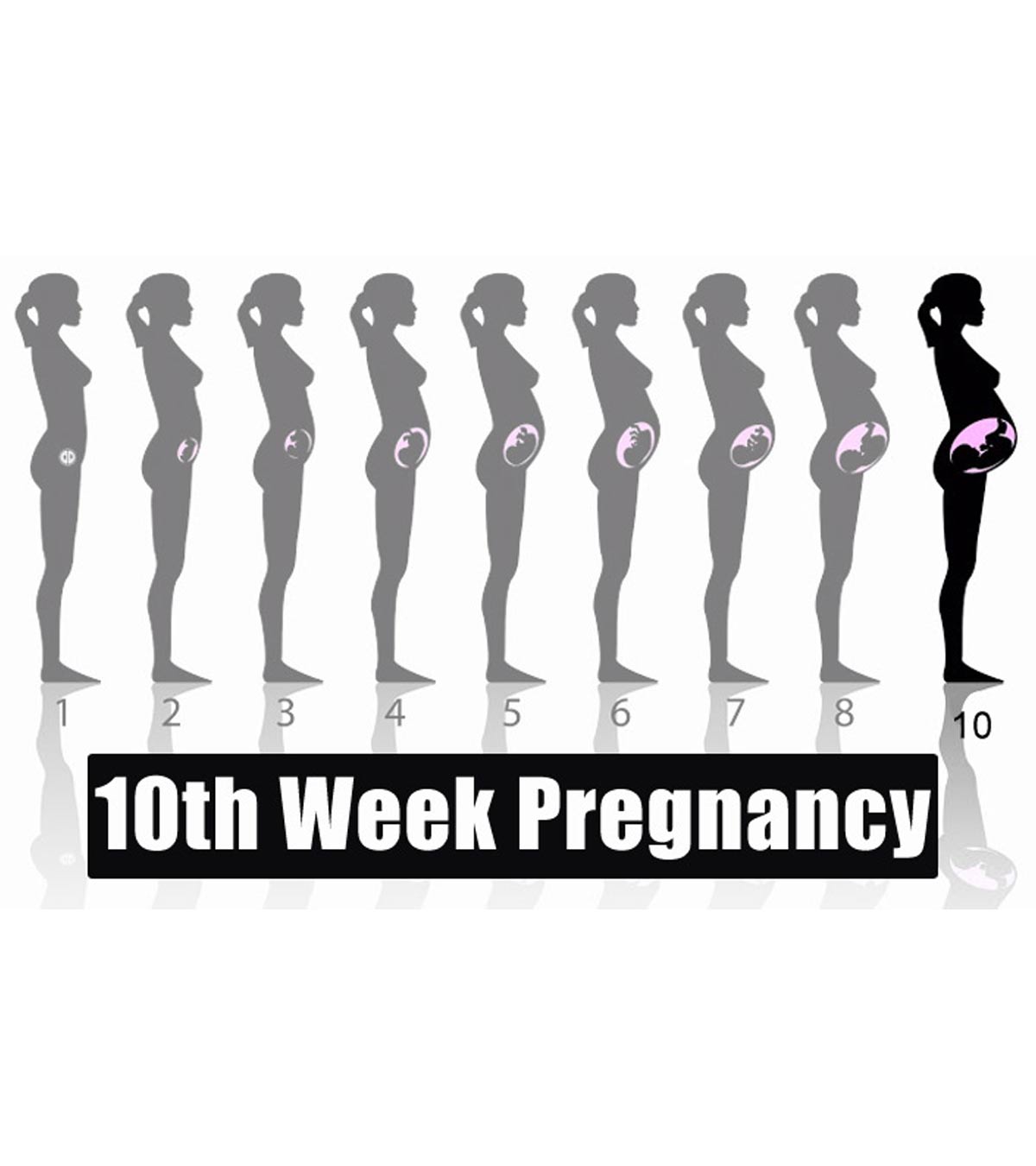 10th Week Pregnancy: Signs, Baby Development, Tips And Size