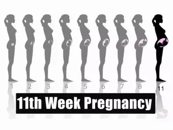 11th Week Pregnancy: Symptoms, Baby Development And Tips