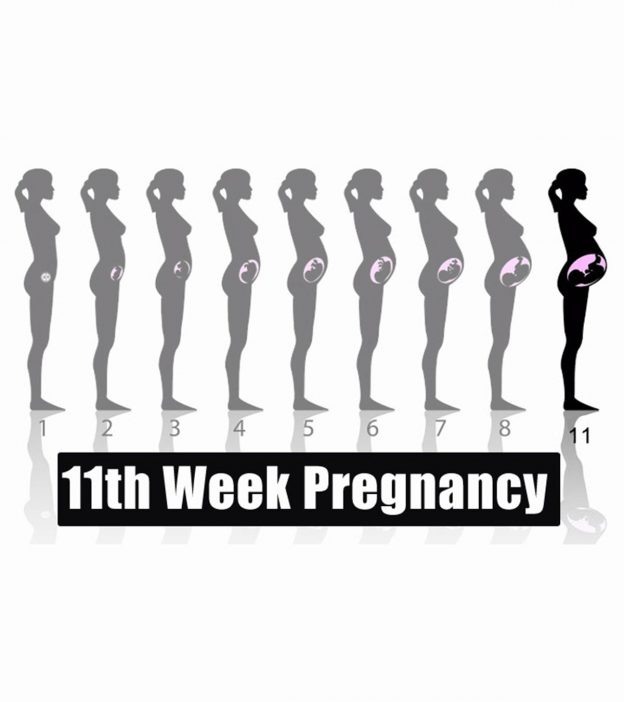 11th Week Pregnancy: Symptoms, Baby Development And Tips