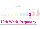 12th Week Pregnancy: Symptoms, Baby Development And Body Changes