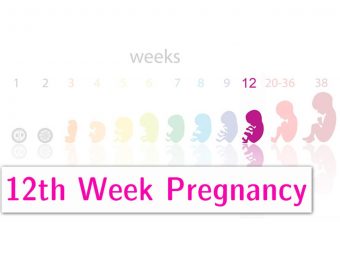 妊娠第12周的症状、婴儿发育和身体变化