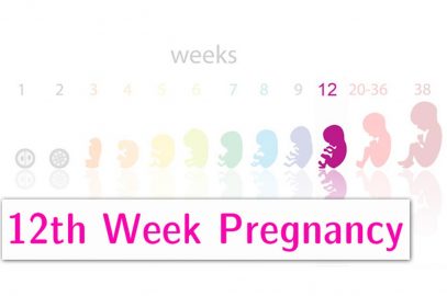 12th Week Pregnancy: Symptoms, Baby Development And Body Changes