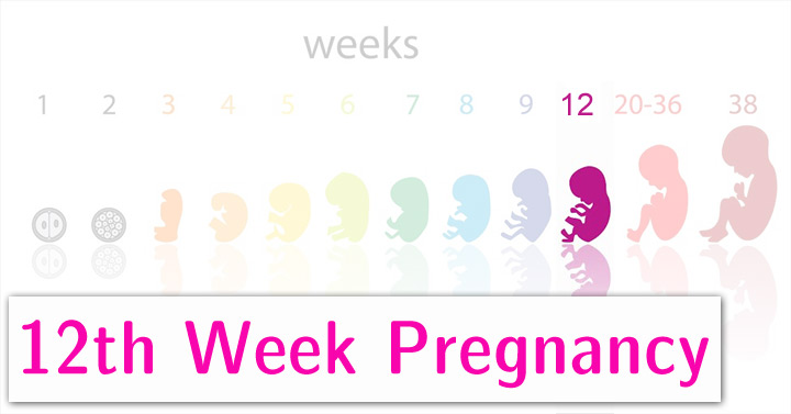 12 week baby milestones