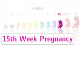 15th Week Pregnancy: Symptoms, Baby Development And Body Changes