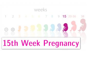 15th-Week-Pregnancy2