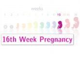 16th Week Pregnancy - Symptoms, Baby Development, Tips And Body Changes