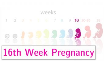 16 Weeks Pregnancy: Symptoms, Tips And Baby Development