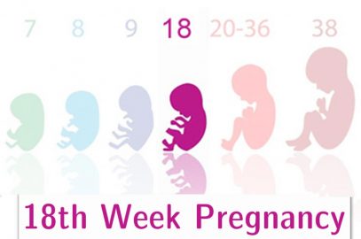 18 Weeks Pregnant: Symptoms And Baby Development
