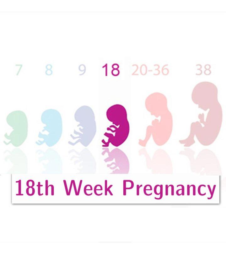18th Week Pregnancy Symptoms, Baby Development, And Body Changes