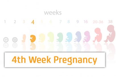 4th Week Pregnancy: Symptoms, Baby Development, Tips And Body Changes