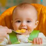 6 Months Baby Food Chart And Recipes