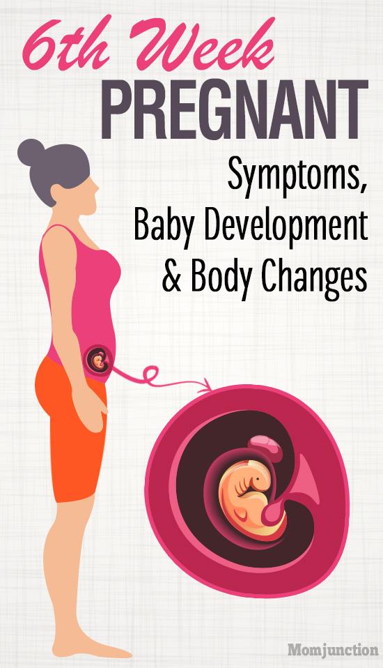 pregnancy-week-by-week-symptoms-and-tips-to-help-and-guide-you